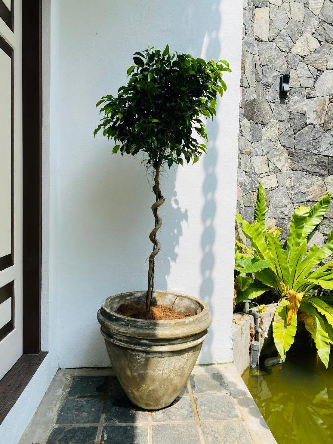 Thaprobana Villa Tangalle - Private Villa Экстерьер фото