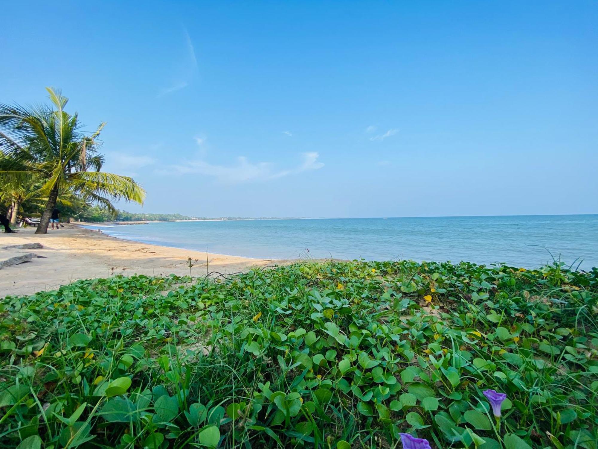 Thaprobana Villa Tangalle - Private Villa Экстерьер фото